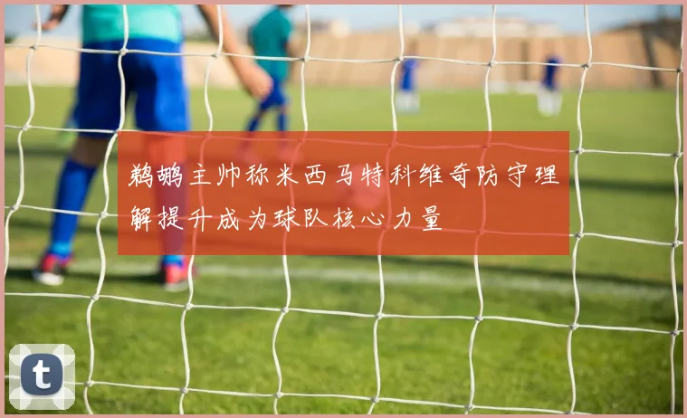 鹈鹕主帅称米西马特科维奇防守理解提升成为球队核心力量